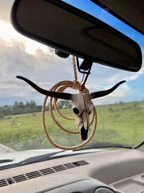 Enfeite De Retrovisor Long Horn Texas + Mini Laço