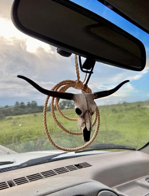 LongHorn Cabeça De Boi Para Retrovisor Pintura Fosca
